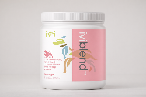 iViBlend whole foods supplement jar